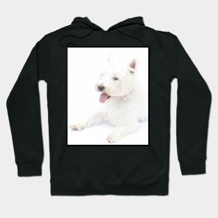 West Highland Terrier (single) Hoodie